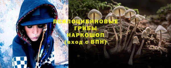 apvp Белоозёрский