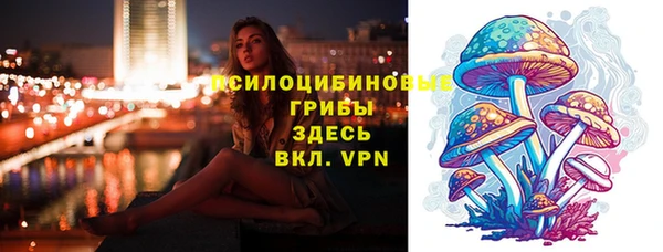 mdpv Белокуриха