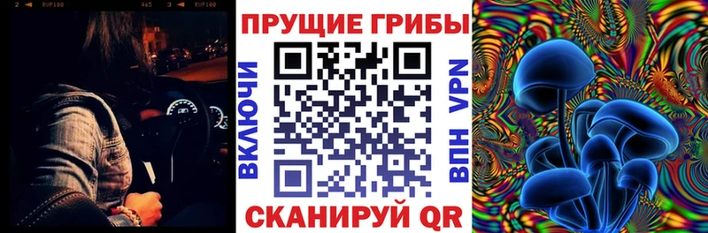 Галлюциногенные грибы Magic Shrooms  Купить  Вихоревка 